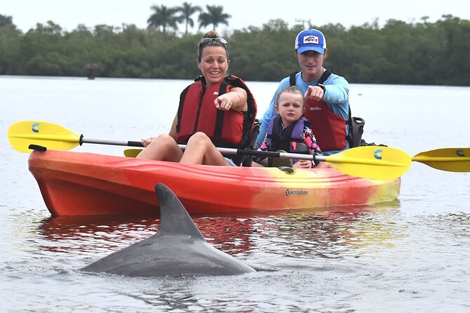 Mangrove Tunnels Kayak Tour (Photographer Included)- Marco Island - Starting at 1295 Capri Boulevard