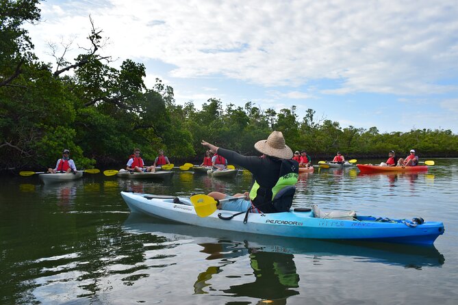 Mangrove Tunnels Kayak Tour (Photographer Included)- Marco Island - The first paddle toward the mangroves