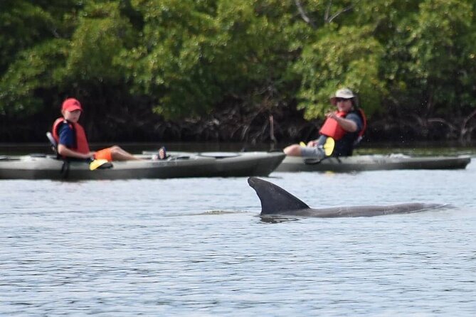 Mangrove Tunnels Kayak Tour (Photographer Included)- Marco Island - Entering four or five red mangrove tunnels