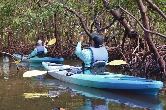 Mangrove Tunnels Kayak Tour (Photographer Included)- Marco Island - Getting comfortable in the kayak