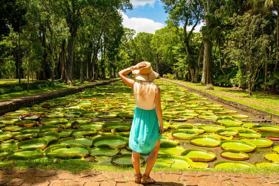 Mauritius: Private Full-Day Iconic Instagram Spots - Why this one-day route works for a first visit