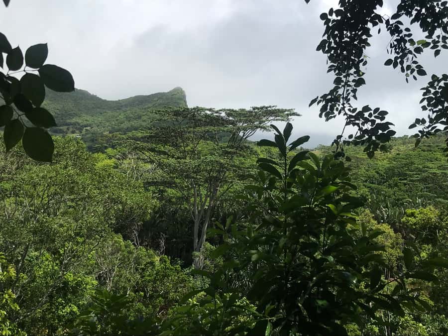 Mauritius: Private Full-Day Iconic Instagram Spots - Should you book it?