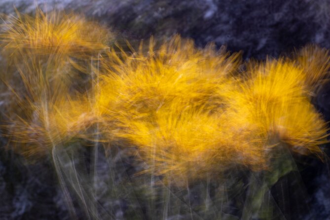 Mindful Photo Walk at Princess Pavilion & Gyllyngdune Gardens - Walking toward the seaside