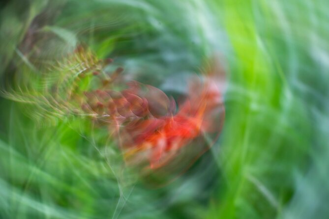 Mindful Photo Walk at Princess Pavilion & Gyllyngdune Gardens - Is $27.36 a fair price?