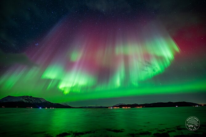 Minibus Northern Lights Chase with Photography from Tromsø - Key details before you book