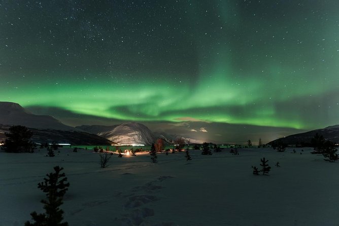 Minibus Northern Lights Chase with Photography from Tromsø - Is the $242.92 price good value?
