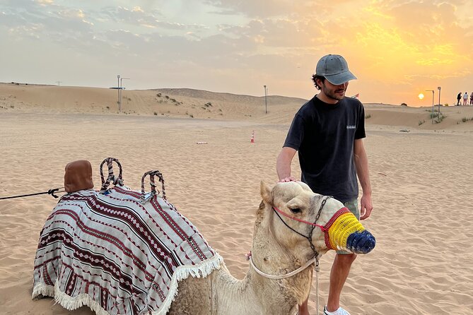 Morning Safari, Sand Boarding, Camel Ride and Photography - Why a morning safari works well in Dubai