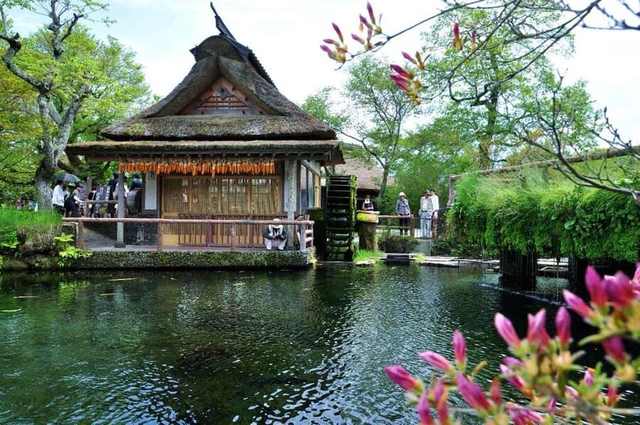 Mount Fuji 1-Day Trip: the Hottest Photography Tour - Clear spring water at Oshino Hakkai