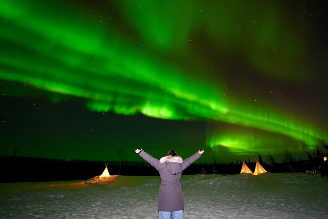 Mountaintop 360° Best Alaskan Cabin with Photography @Aurora Camp - Key points at a glance