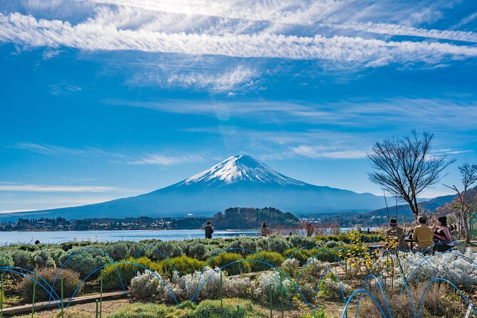 Mt. Fuji Highlight Photo Spots One Day Tour from Tokyo - Lawson Fujikawaguchiko Town Hall: a quick postcard stop