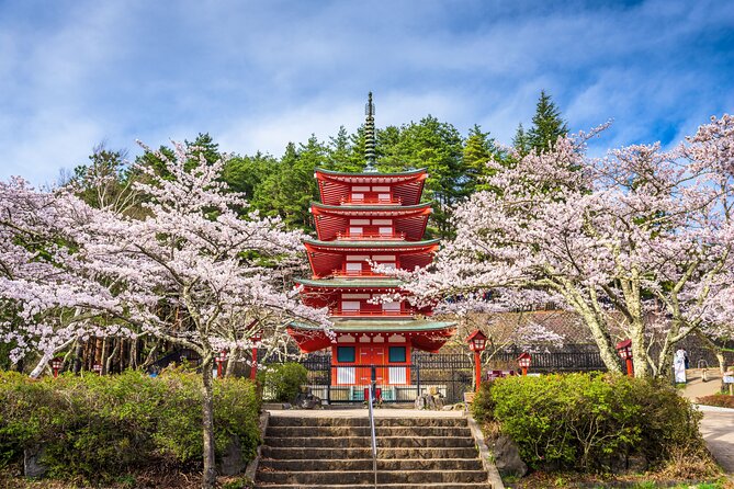 Mt. Fuji Highlight Photo Spots One Day Tour from Tokyo - Oishi Park and seasonal flowers