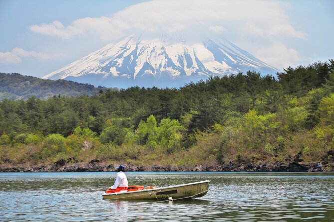 Mt. Fuji Highlight Photo Spots One Day Tour from Tokyo - Shiraito Falls brings a welcome change