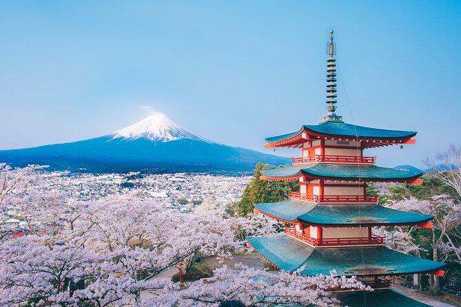 Mt. Fuji Highlight Photo Spots One Day Tour from Tokyo - Obuchi Sasaba and the tea-field view