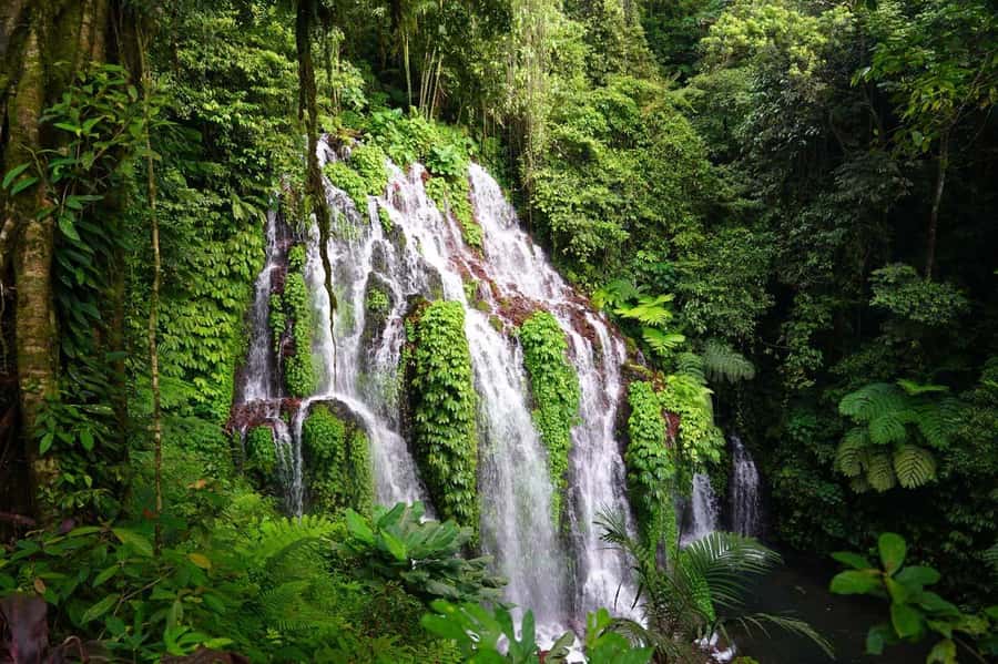 North Bali: Full-day Highlights Instagram Tour - Why North Bali makes a worthwhile full-day outing