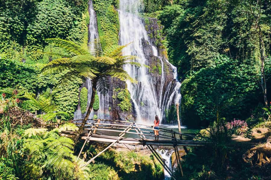 North Bali: Full-day Highlights Instagram Tour - Who should book this North Bali tour