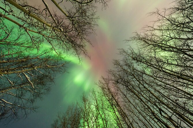 Northern Lights Aurora Chasing Adventure Tour & Free Photography - Included photography help is a real advantage
