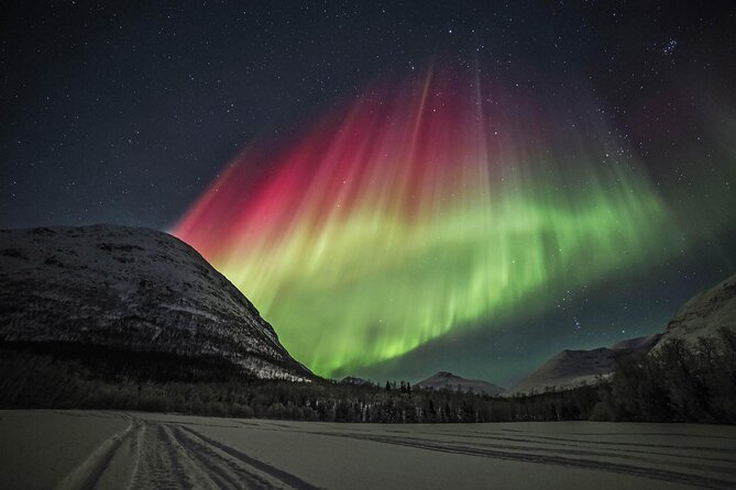 Northern Lights Chase with Photography from Tromsø - Key points to know before booking