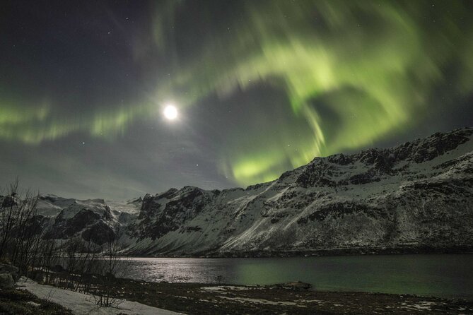Northern Lights Chase with Photography from Tromsø - Group size and the feel of the evening