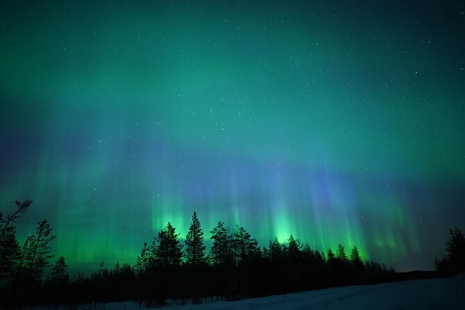 Northern Lights Hunting Photography Tour in Rovaniemi Finland - Key points to know before you book