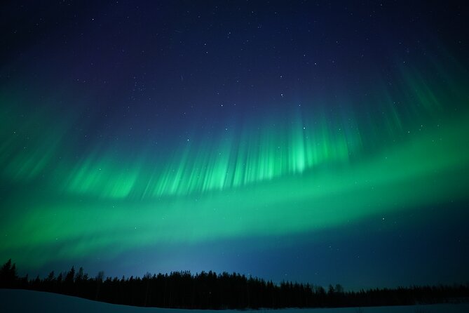 Northern Lights Hunting Photography Tour in Rovaniemi Finland - Is $228.09 a fair price?