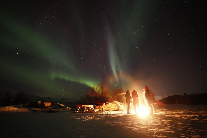 Northern Lights Photography Tour - Group size and the busy December season