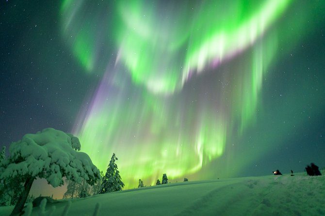 Northern Lights Photography Tour from Rovaniemi - Key points to know before you book