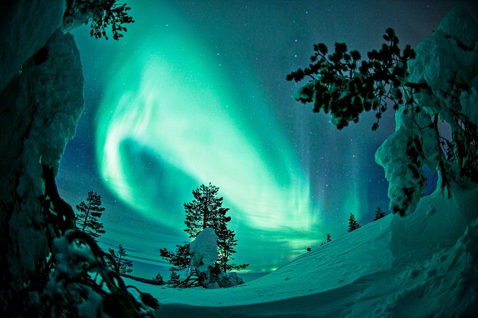 Northern Lights Photography Tour from Rovaniemi - Fire, food, and Finnish stories