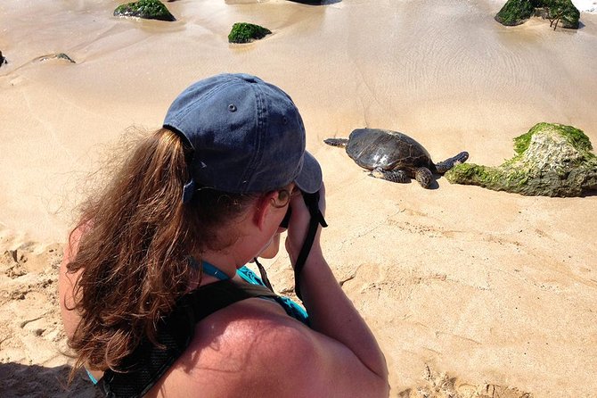 Oahu Island Photography Tour - Beaches, volcanoes, and mountain views