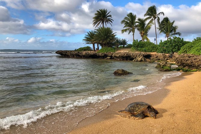 Oahu Island Photography Tour - The North Shore, big waves, and local lunch