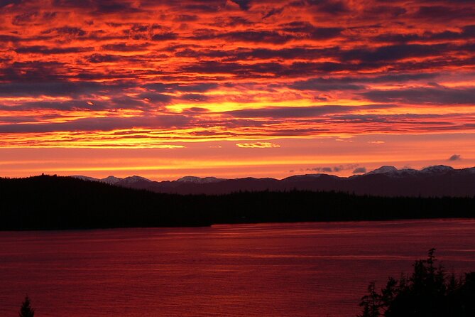 Off the Beaten Path Ketchikan Photo Safari - 3 hr. - The final view toward Danger Island