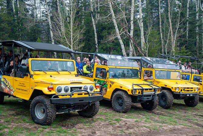 Panoramic Peak Tour (Wildside 4x4 Tours) - Aspen trees, bears, and the stories along the trail