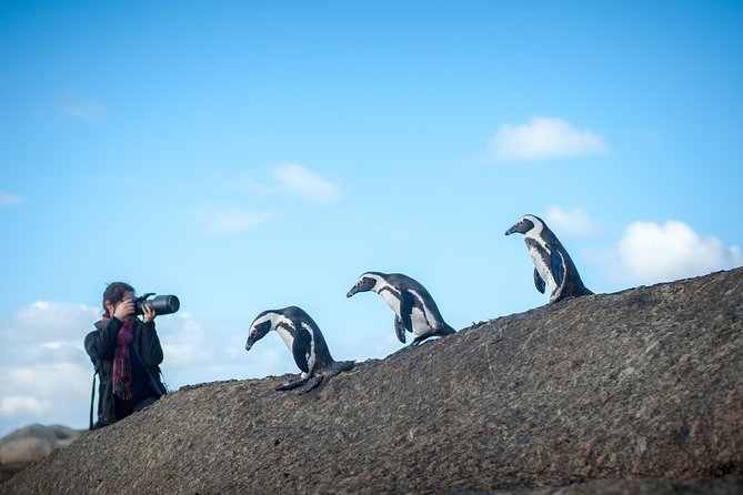 Peninsula Photography Tour - Why this private photography day works
