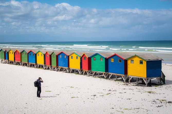 Peninsula Photography Tour - Boulders Beach and the penguin hour