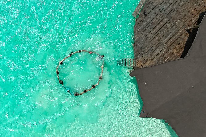 Photography and Filming with drone and camera - Who will enjoy this most