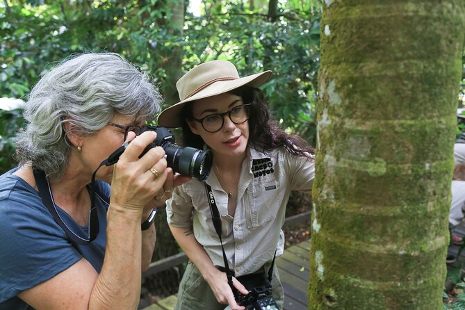 Photography and Nature in Cairns Botanic Gardens Let's Go Buggin - Practical photography help, from camera settings to composition