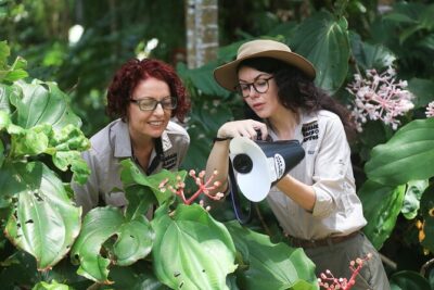 Photography and Nature in Cairns Botanic Gardens Let’s Go Buggin