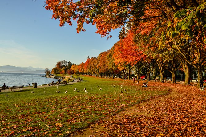 Photography & Hiking in Nature - Stanley Park, totem poles, and the seawall