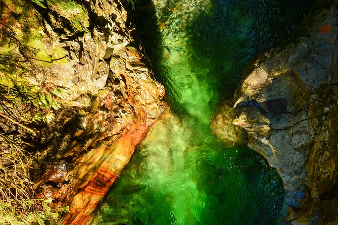 Photography in Rainforest & Suspension Bridge - Lynn Canyon offers a quieter bridge experience