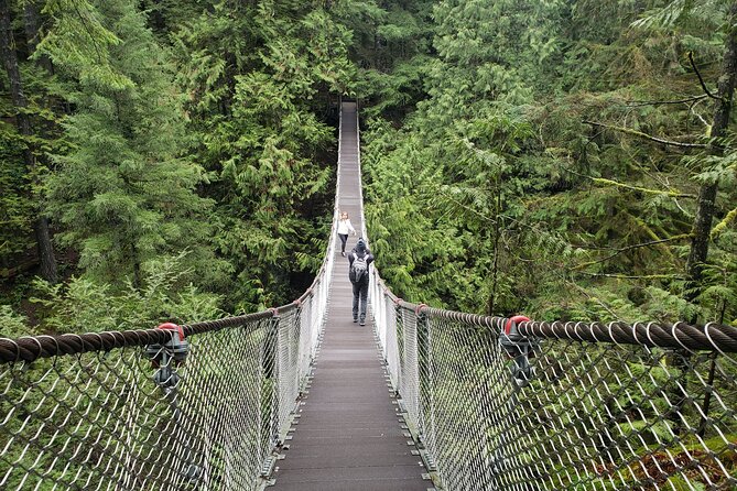Photography in Rainforest & Suspension Bridge - The Lynn Canyon walk, from bridge to waterfalls