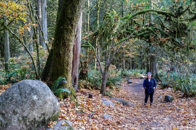 Photography in Rainforest & Suspension Bridge - Cleveland Dam adds a second setting