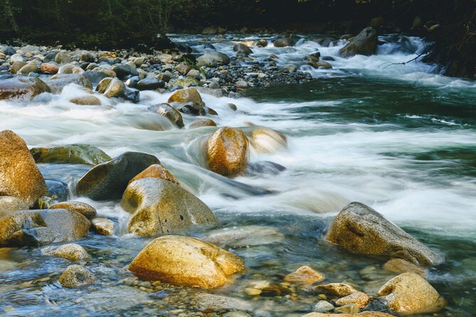 Photography in Rainforest & Suspension Bridge - Why the small group matters