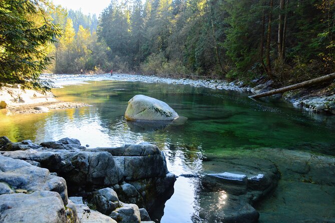 Photography in Rainforest & Suspension Bridge - Who should book this Vancouver outing?