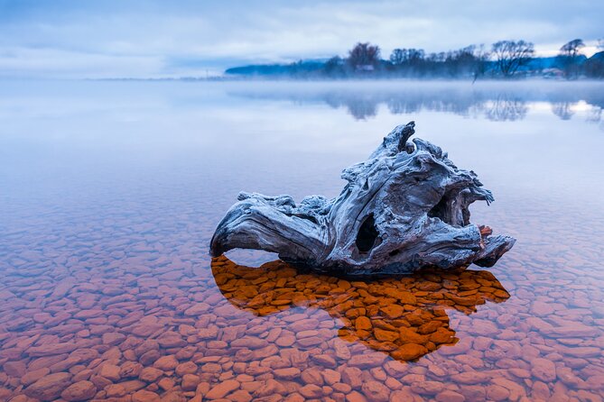 Photography Tour from Queenstown to Glenorchy - 1/2 Day - The value of a $235.82 private tour
