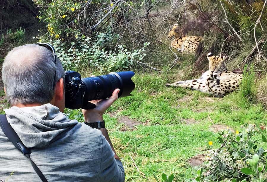 Plettenberg Bay: Private Guided Wildlife Photography Tour - Arrival, Orientation, and the Tenikwa Story