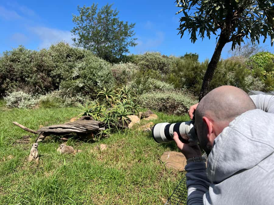 Plettenberg Bay: Private Guided Wildlife Photography Tour - Searching for the Camouflaged Leopard