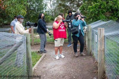 Plettenberg Bay: Private Guided Wildlife Photography Tour