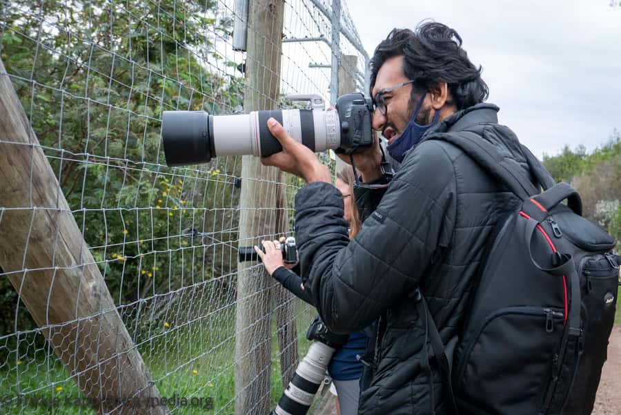 Plettenberg Bay: Private Guided Wildlife Photography Tour - The Enrichment Activity and What It Adds