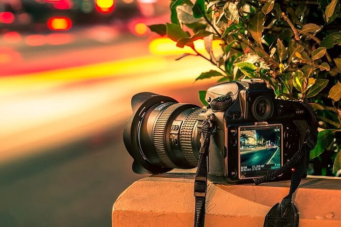 Private Digital Photography Workshop - Finding beauty in plants, birds, insects, and light