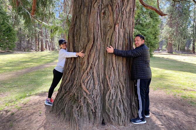 Private Family Photo Day in Yosemite - Who should book this private photo safari
