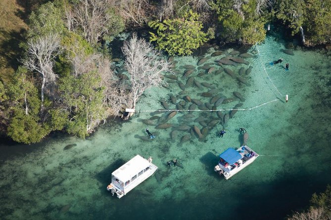 Private Manatee Swim for up to 6 with In-Water Divemaster/Photographer - What the four-hour outing looks like